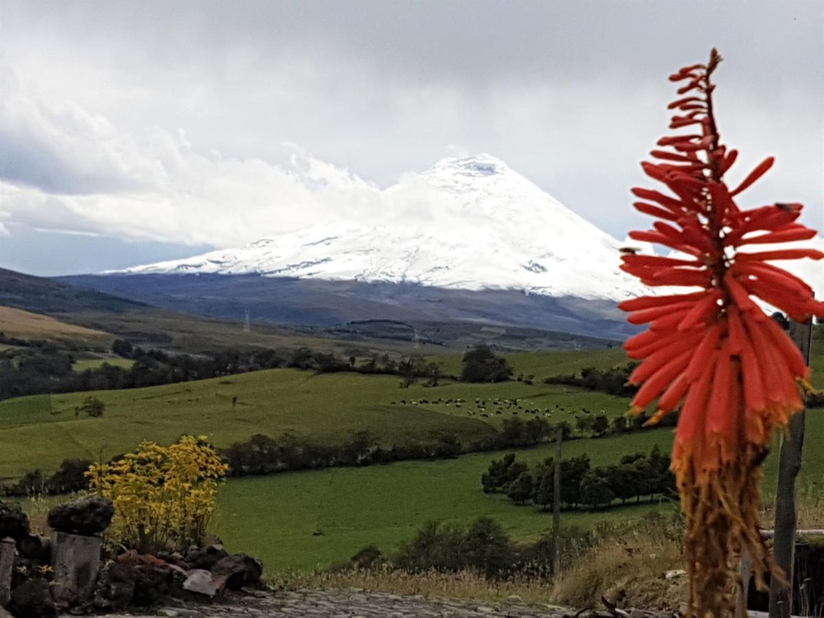 Balcon Al Cotopaxi Hosteria Sangolquí Exterior foto
